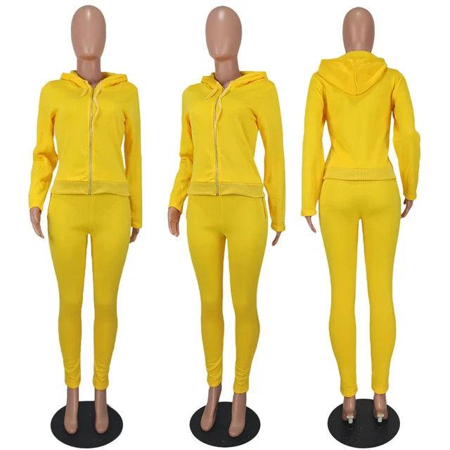 Thick Plush Two Piece Set Hooded Tracksuit - Styledd by L&M